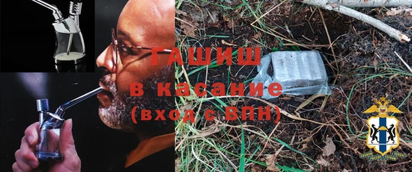 PSILOCYBIN Корсаков