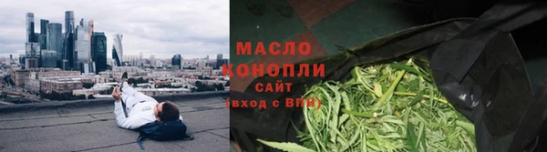 индика Вязьма