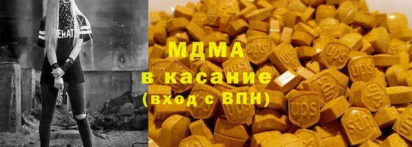 индика Вязьма