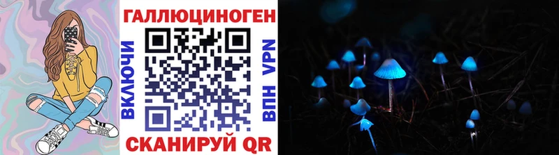 blacksprut зеркало  наркотики  Добрянка  Псилоцибиновые грибы Magic Shrooms 